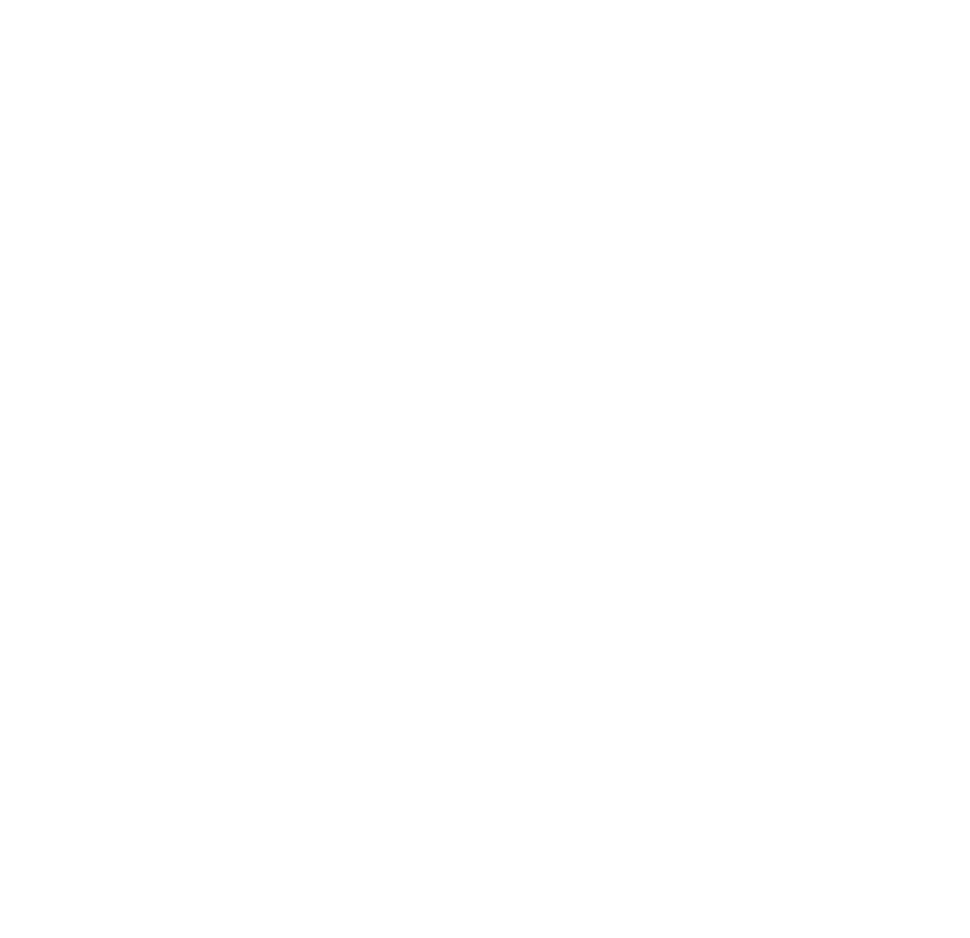 Travelers Tripadvisor
